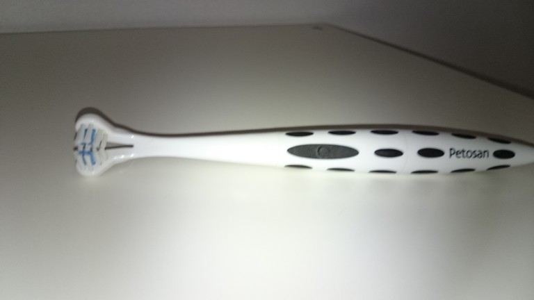 Zahnpflege beim Hund